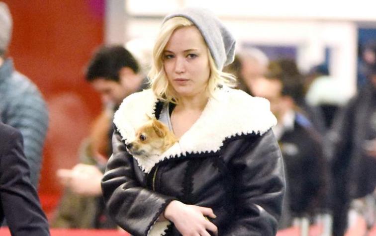 Jennifer Lawrence se indignó con un periodista que acarició a su perro