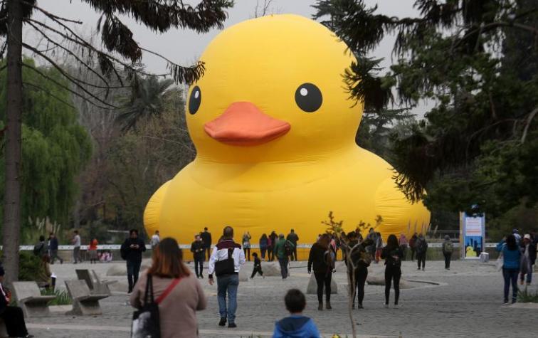 Pidió ayuda para agregar el pato de hule gigante en su foto y fue víctima de masivo troleo