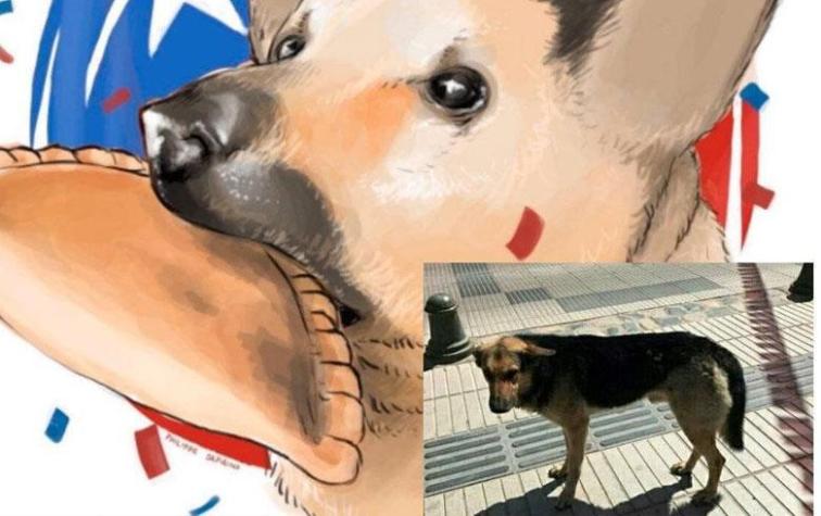 Famoso perro de la empanada recibió tremendo regalo