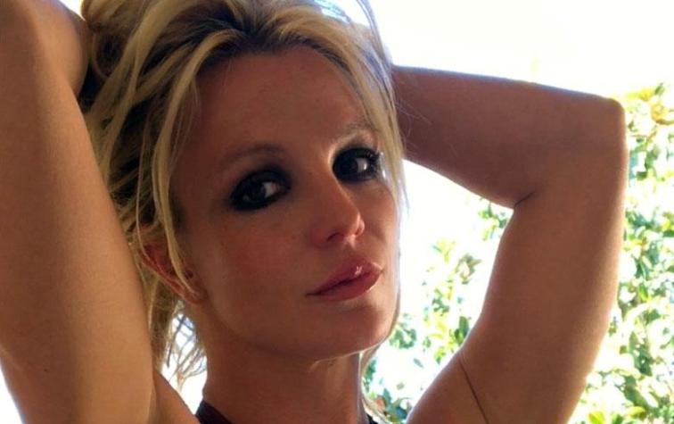 Britney Spears vende en cifra millonaria obra de arte que causó ola de burlas