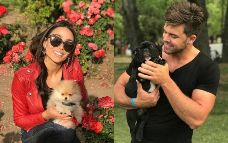 Perritos de Lisandra Silva la sorprenden con inocente travesura 