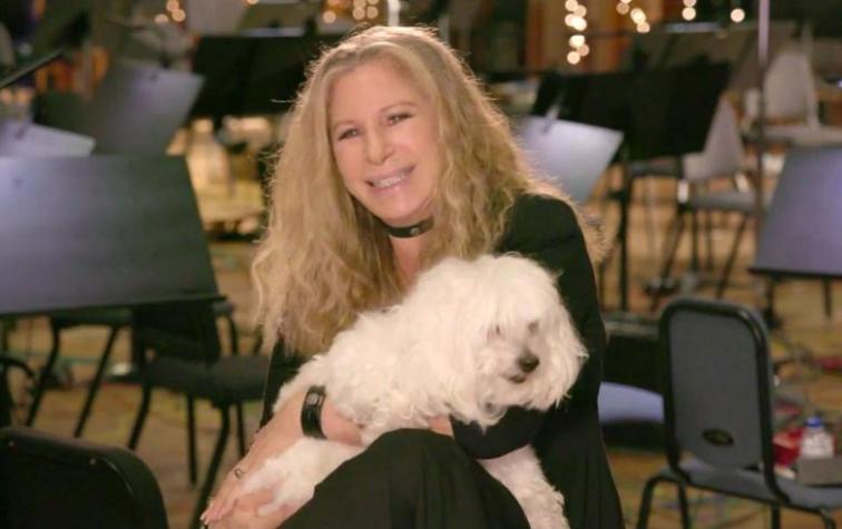 Barbra Streisand reveló que clonó dos veces a su perro favorito
