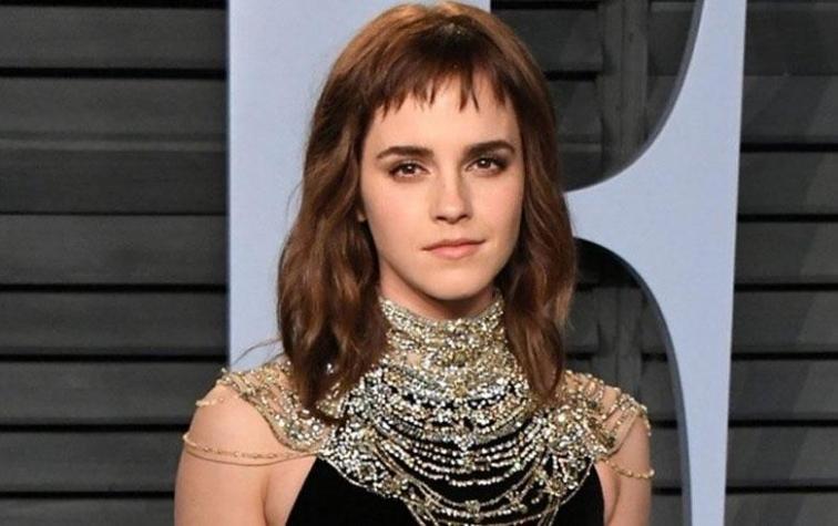 Captan a Emma Watson de la mano y enamorada de actor de "Glee"