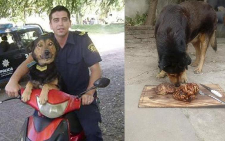 La historia del perro que cumplió 15 años y su dueño le hizo un asado para festejarlo