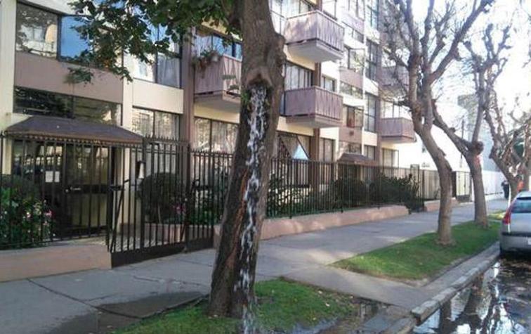 El insólito caso del árbol “milagroso” que expulsa litros de agua en Viña del Mar