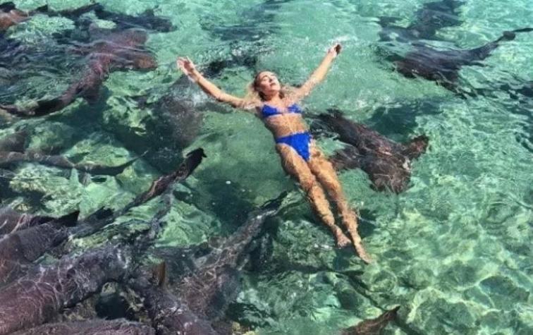 Joven captó momento exacto cuando un tiburón la mordió