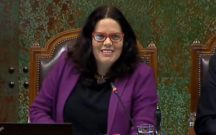 El "chascarro" Maya Fernández que sacó carcajadas en la Cámara de Diputados