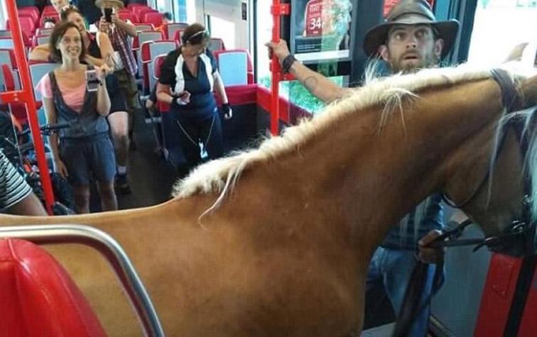 Joven fue expulsado de un tren luego de subirse junto a su caballo
