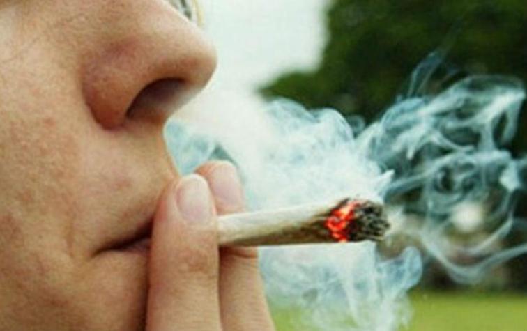 Investigadores aseguran que la marihuana afecta a la memoria y al aprendizaje