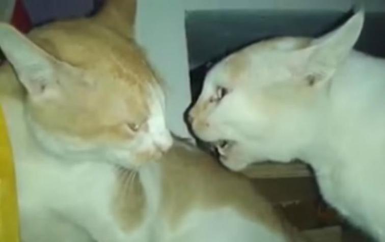 Los 10 videos más vistos de Youtube este 2018 en Chile