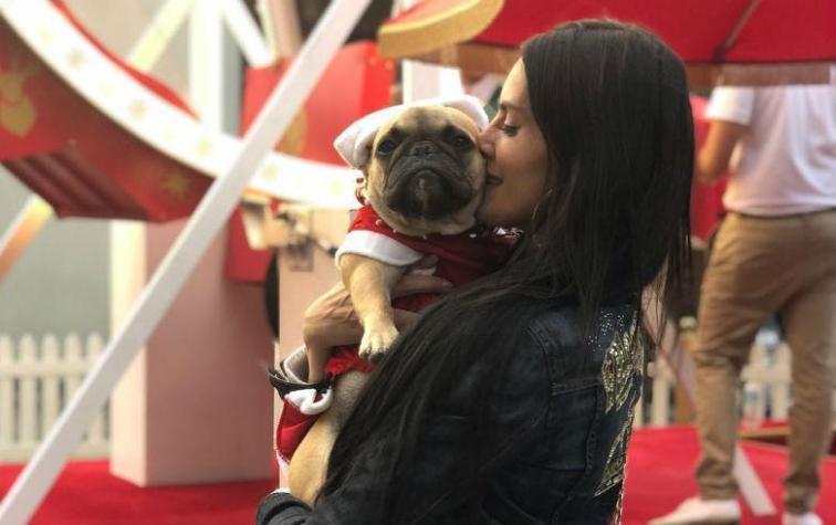 Adriana Barrientos rompe en llanto por el estado de salud de su perrita