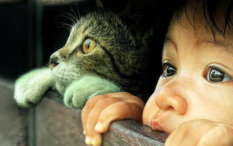 Niño que sufrió alucinaciones y pensamientos suicidas por culpa de su gato