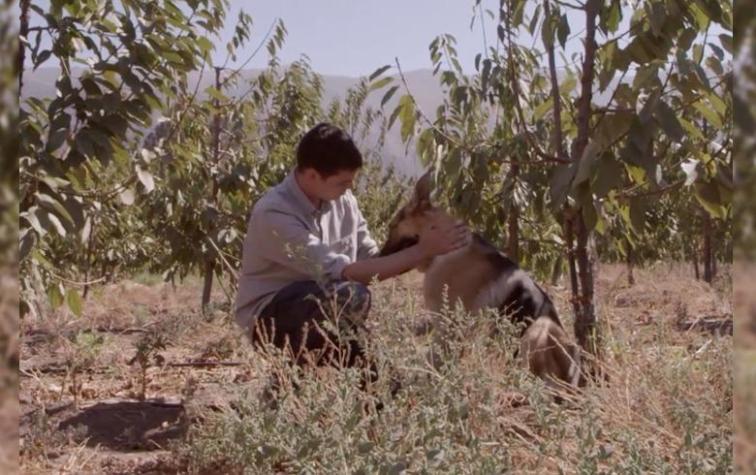 Corto chileno que se exhibirá en Cannes se estrena en el Instituto Chileno Norteamericano de Cultura