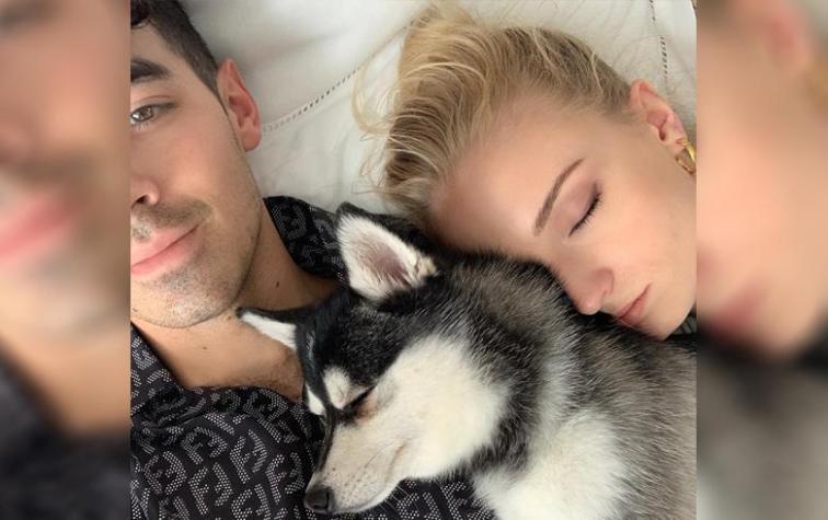 Sophie Turner y Joe Jonas sufren la muerte de su perro Waldo