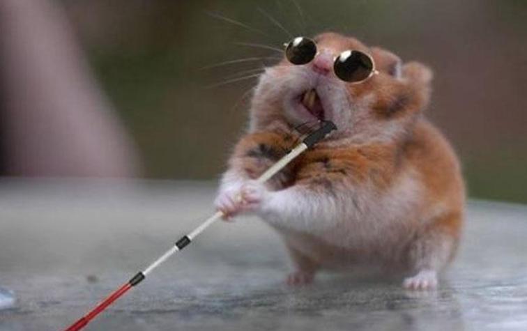 Los memes que dejó el eclipse solar