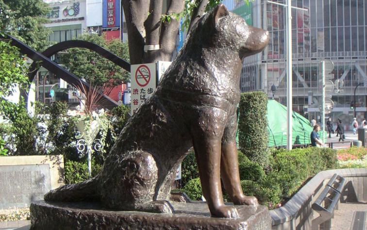 Estatua de Hachiko en Japón se convierte en el "Negro Matapacos"
