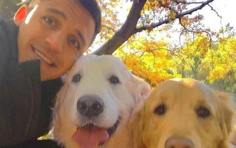 ¡Se agranda la familia! Alexis Sánchez presenta a sus nuevos hijos perrunos