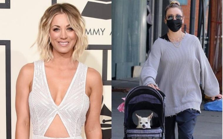Kaley Cuoco pasea a su perrito en coche de bebés