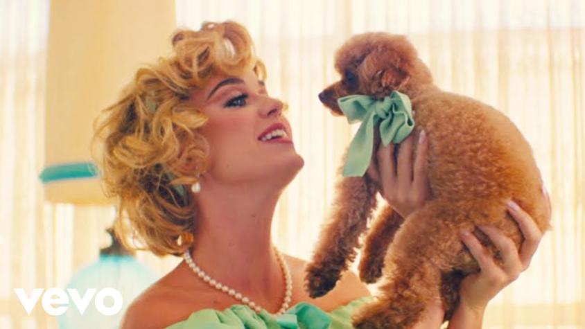 ¿Perro vegano? Katy Perry es criticada por dieta que lleva su mascota