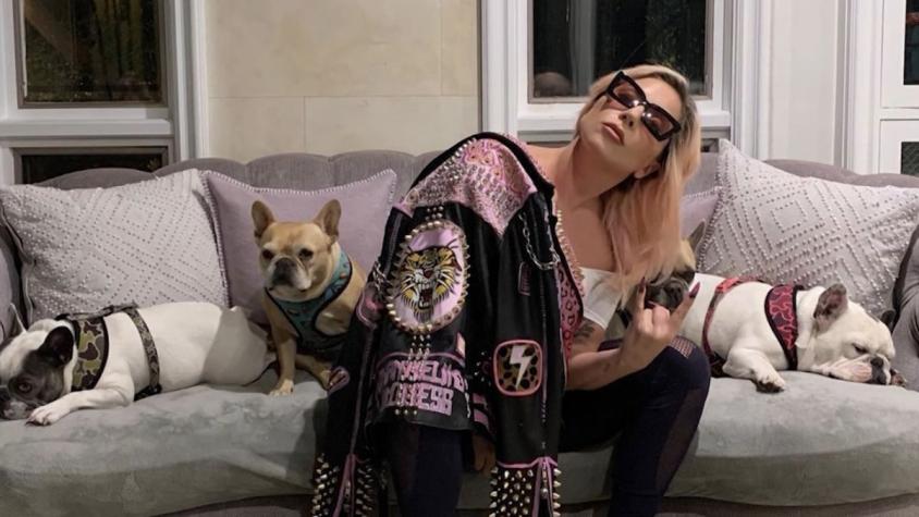 5 detenidos por robar los perros a Lady Gaga: una es la misma que los devolvió