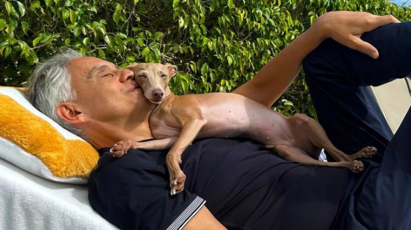 Ginebra: el perro guía de Andrea Bocelli que enterneció a todos en el Festival de Viña