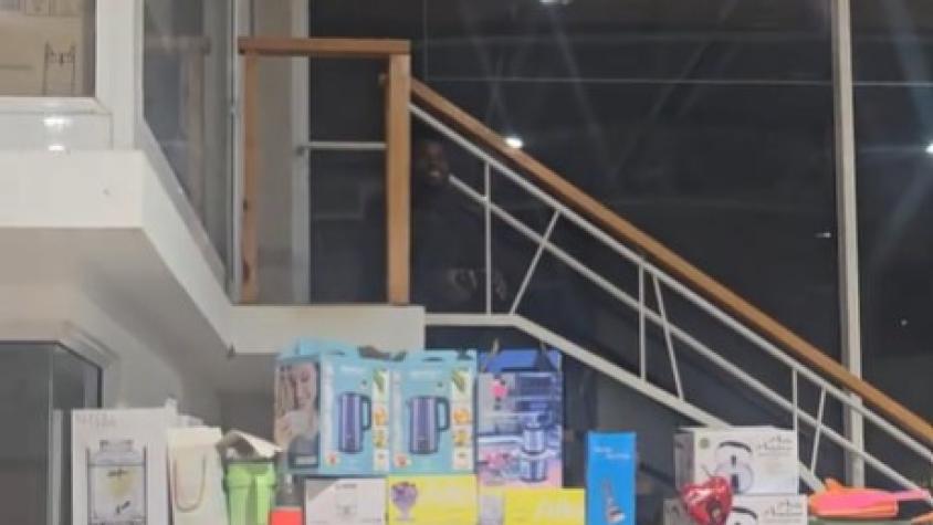 Con esta delincuencia ya no basta con vigilar: guardia se hace viral por su "camuflaje natural"