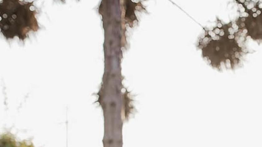 Camilo Huerta junto a Marité Matus - Instagram