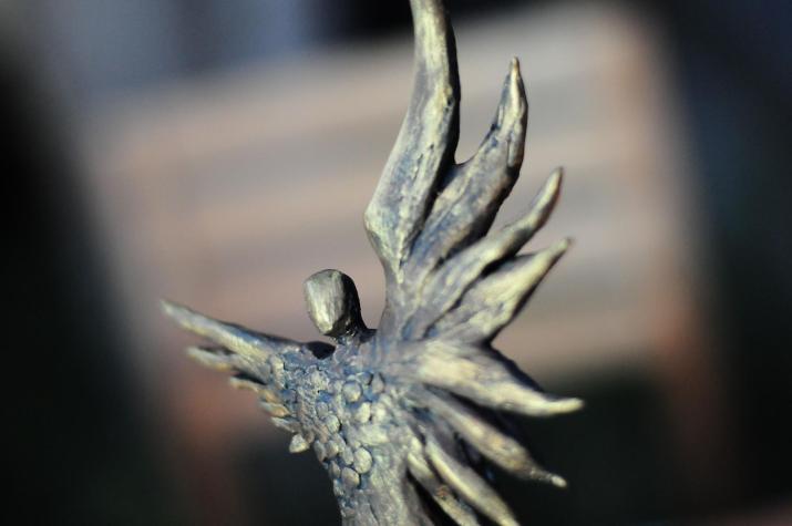 Premios Caleuche | Agencia Uno