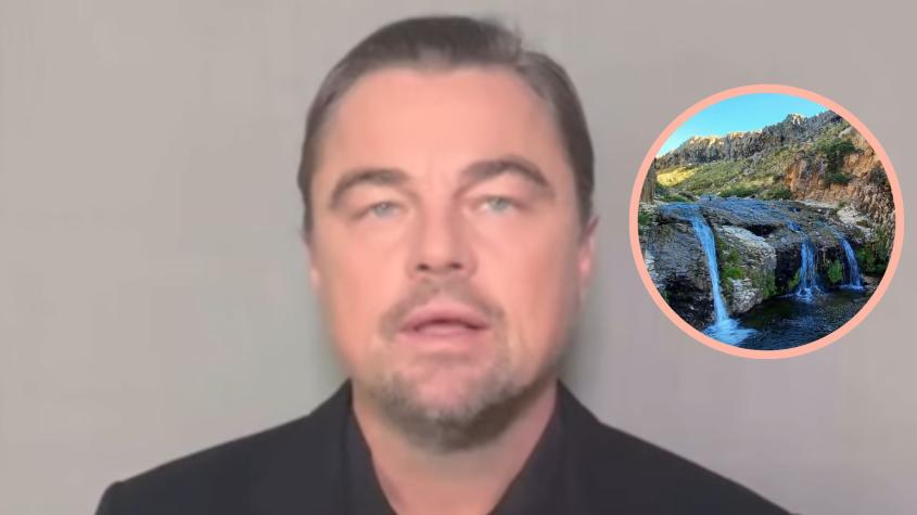 Actor y activista Leonardo DiCaprio - Instagram.