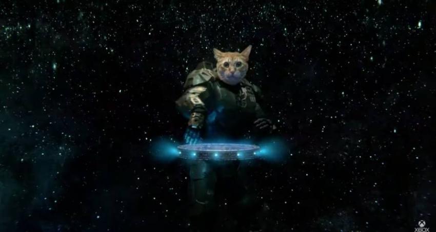 Taika Waititi hizo un comercial de Xbox Series X... con gatos