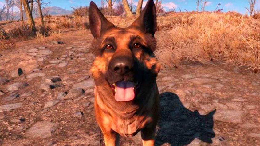 Falleció River, la perrita que inspiró a Dogmeat en Fallout 4