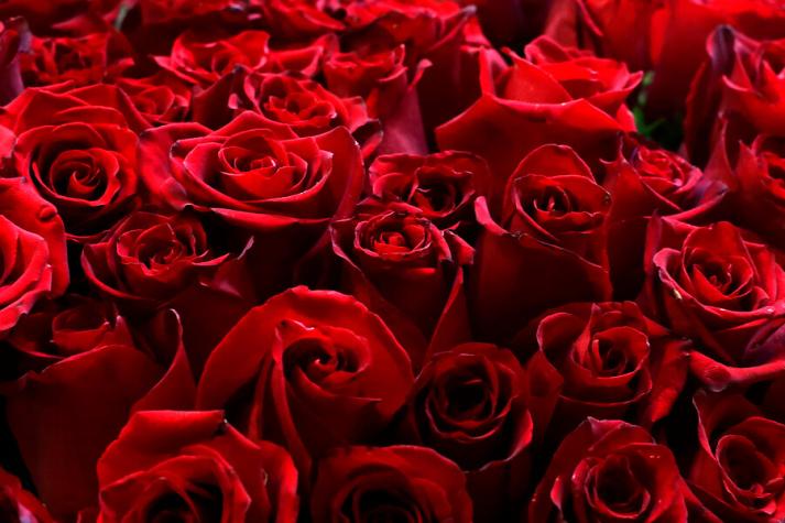 La guía del placer en San Valentín: 12 recomendaciones para que el Día del Amor sea inolvidable