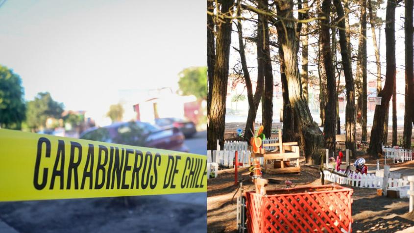 Infanticidio en Talcahuano: joven habría enterrado a bebé en cementerio de mascotas