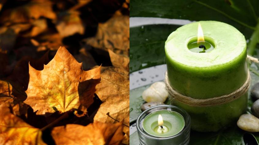 Cinco rituales que debes probar para atraer el dinero en otoño