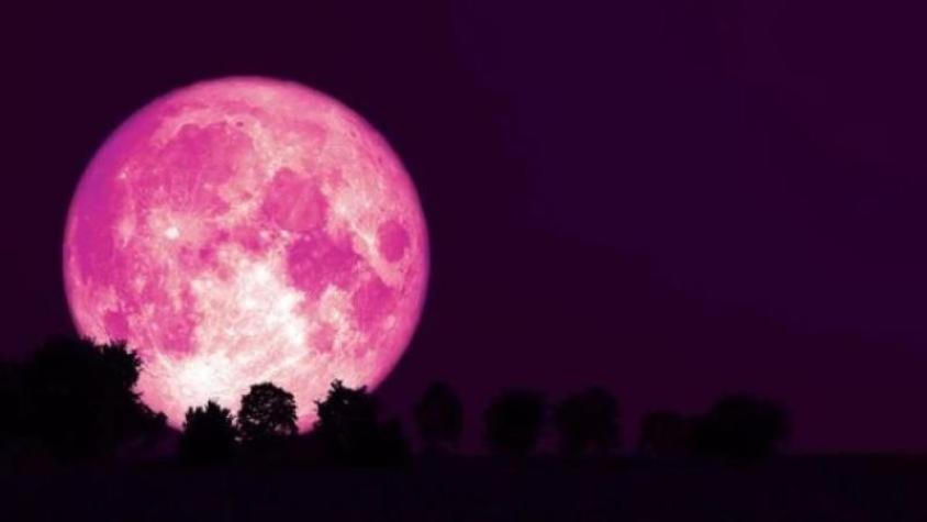 Consigue el trabajo de tus sueños con este ritual durante la Luna rosa de abril