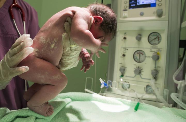 Nació el primer bebé tras trasplante de útero en Francia: órgano fue donado por la abuela