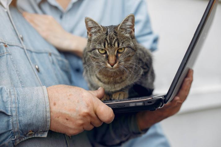 Como se comporta tu gato es un reflejo de tus problemas emocionales, dice estudio