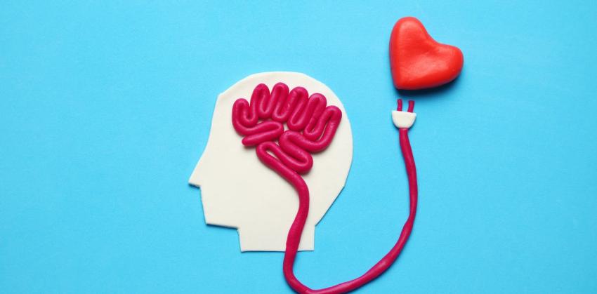 Las 3 etapas del amor: así funciona tu cerebro cuando está enamorado