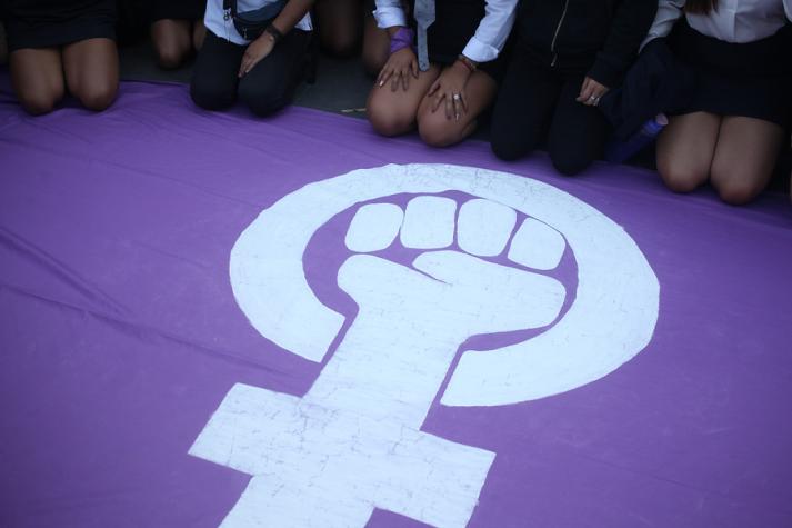 Feminismo en Chile: 55% de las personas está de acuerdo con sus planteamientos 
