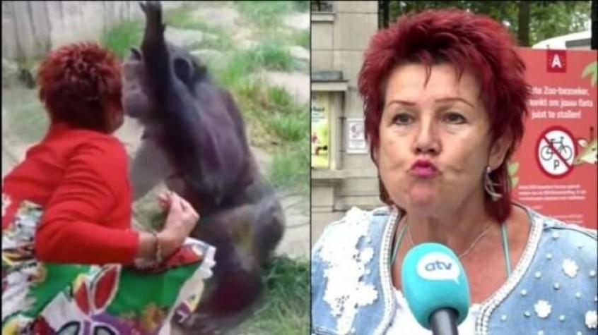 Bélgica: Zoológico le niega la entrada a mujer por supuesto "romance" con chimpancé