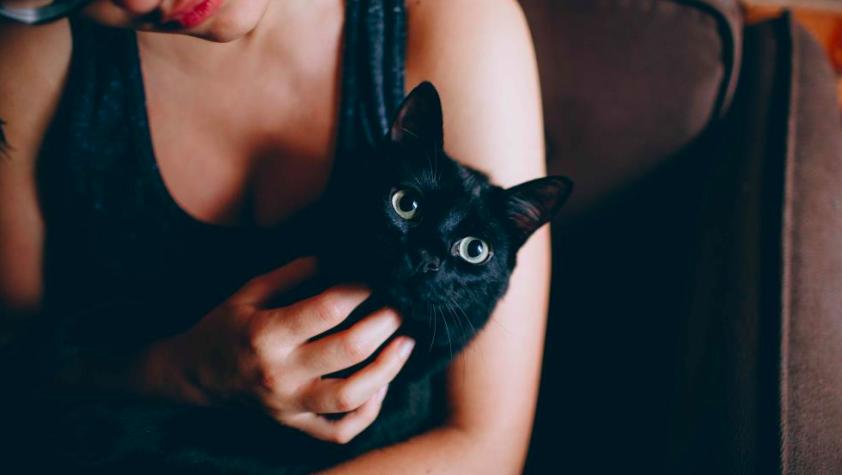 ¿A qué se debe la misteriosa afinidad entre las mujeres y los gatos?