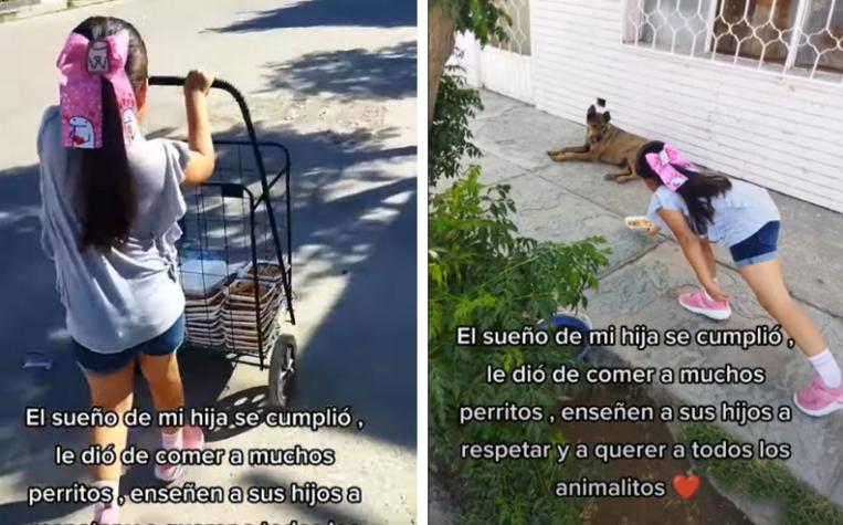 Se viraliza video de niña repartiendo comida a perros callejeros: Cumplió su sueño