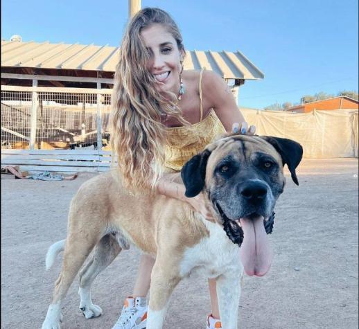 "No te permite una relación con un hombre": Dani Castro es criticada por amar a sus perros