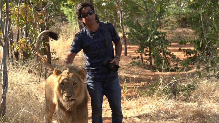 Claudio abrazó a los leones de África