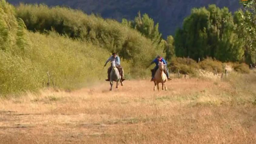 Pancho apostó toda su fortuna en las carreras de caballos