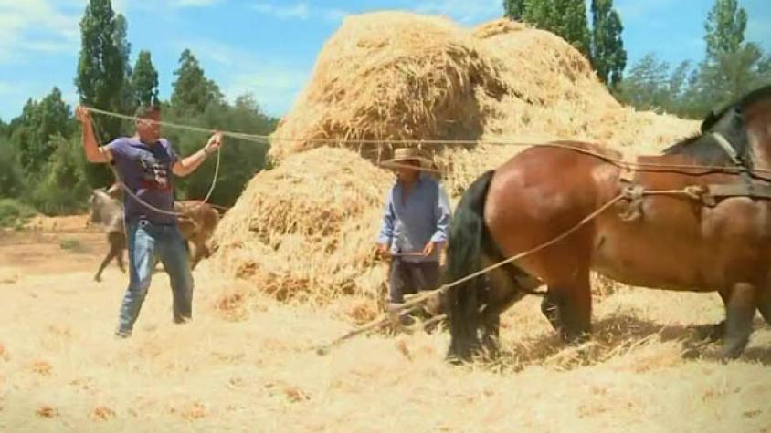 Pancho esquió al estilo campestre