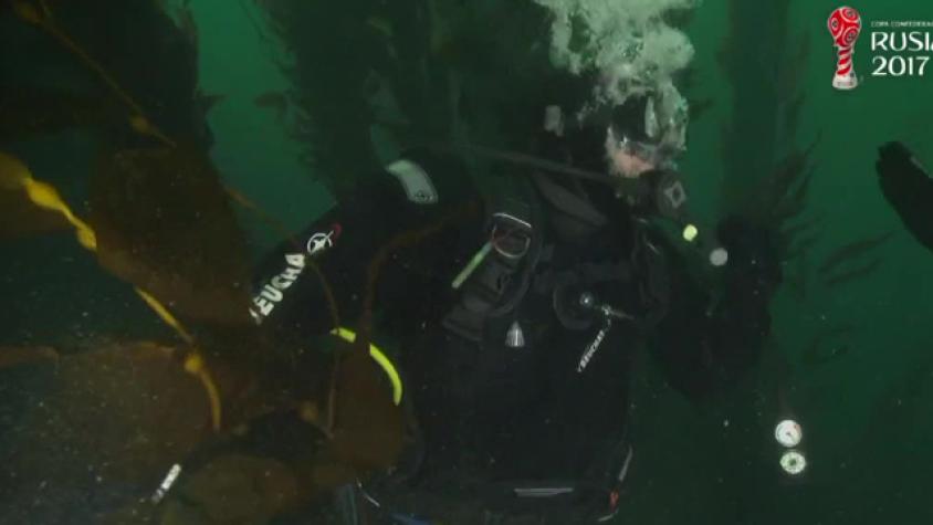 Mira el impresionante buceo en las aguas del Estrecho de Magallanes