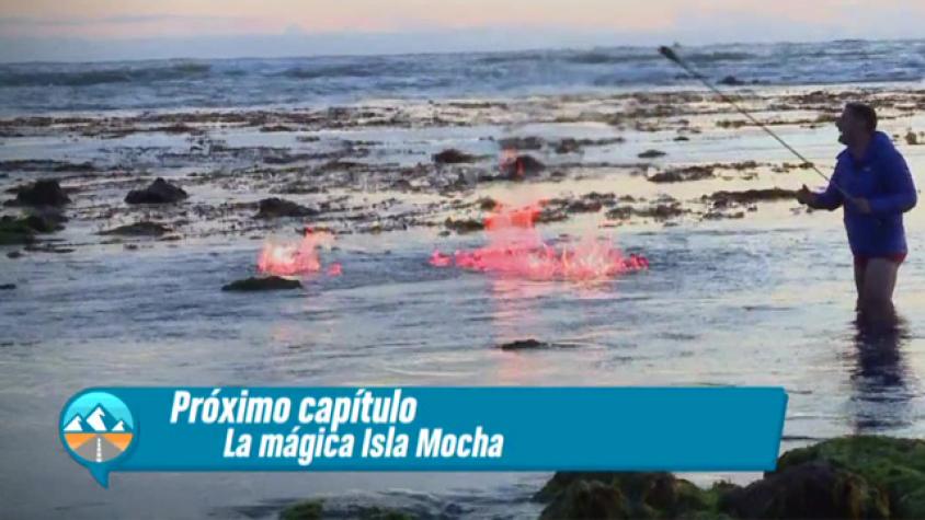 La isla Mocha es el próximo destino de Pancho