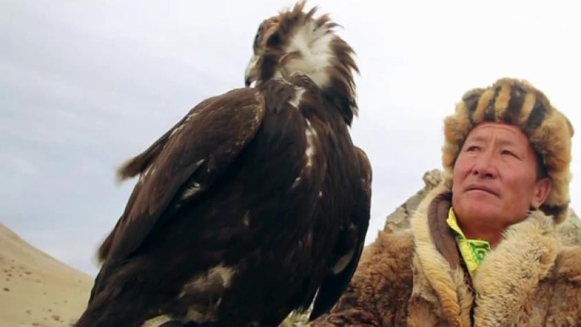 Conoce como la tribu de los Kazakh alimenta a sus águilas