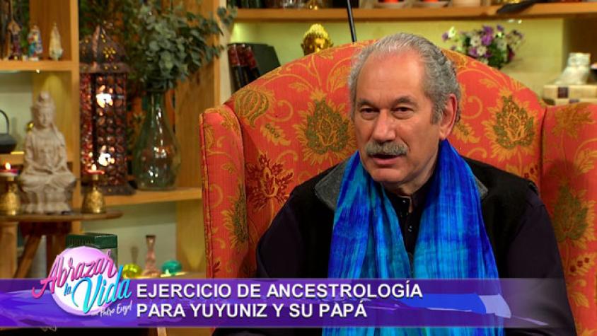 Pedro Profesor: Cómo interpretar sueños recurrentes